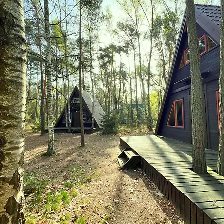 W Wildze Skurcza
